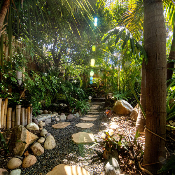 Rock stepping stones in black pebble pathway with dense jungle foliage and palms at Tropic Shots production set